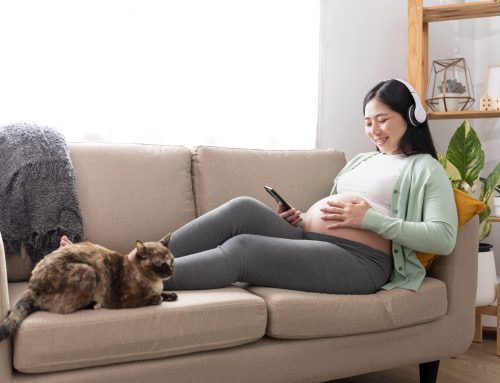 Mitos atau Fakta : Memelihara Kucing Bisa Mengganggu Kesuburan Wanita